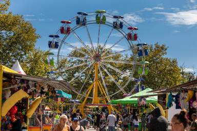 Ferris Wheel at Richmond County Fair