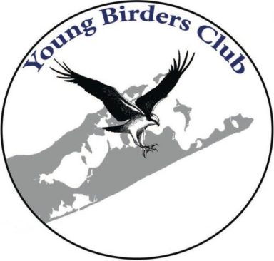 Young-Birders-Club