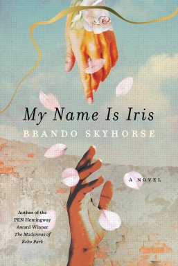 MY NAME IS IRIS Cover