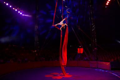 a circus act being done on stage at Do Portugal Circus