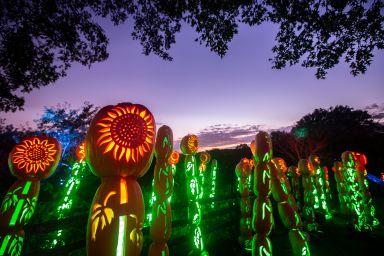 wf-calendar-The-Great-Jack-O’-Lantern-Blaze-Hudson-Valley-2024-09