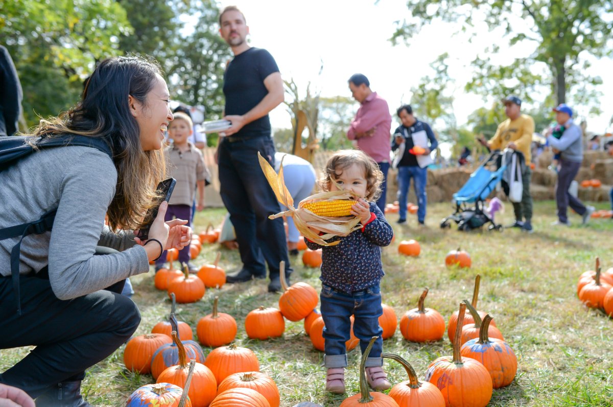 View More: https://ehatziphoto.pass.us/2019octoberharvestfest