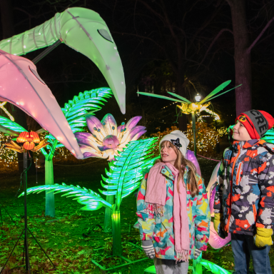 Bronx Zoo Holiday Lights_Illuminated Performers_sq