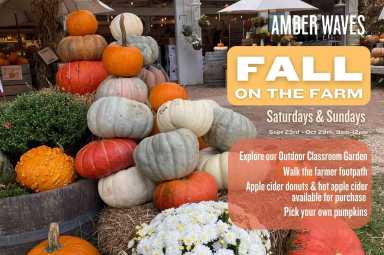 FALL+ON+THE+FARM+Omnify
