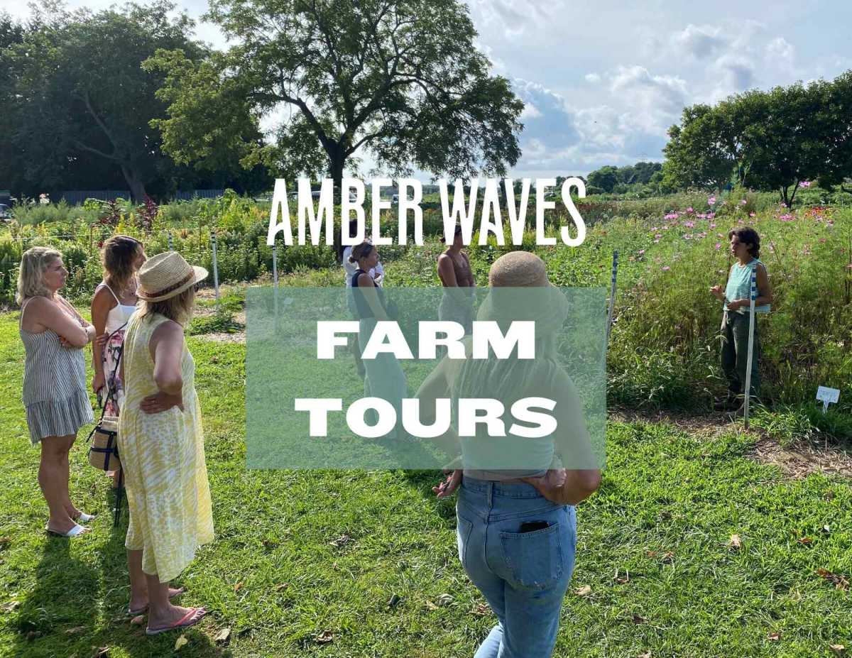 Farm Tours (1)