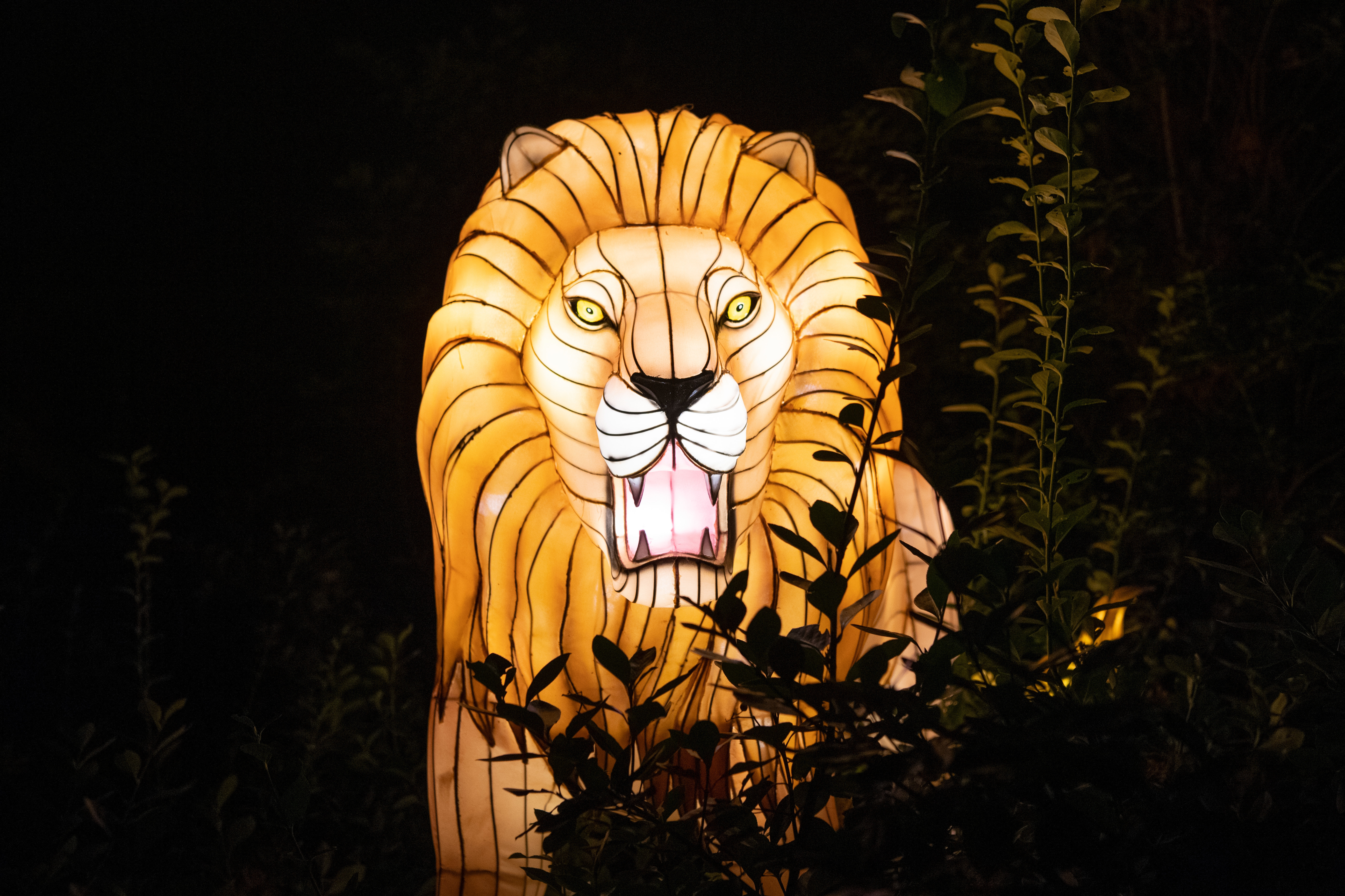 置物 Holidays In The Sun Amazon.com: Suzile 2 Pack Sunflower Bee Garden Gnome 9.4 Inch