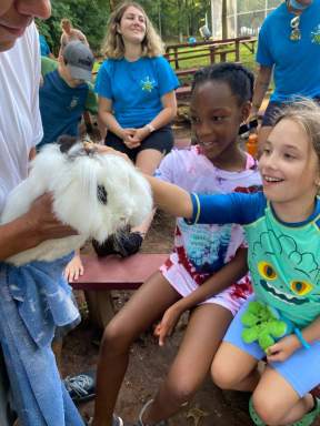 children petting a cute fluffy bunny