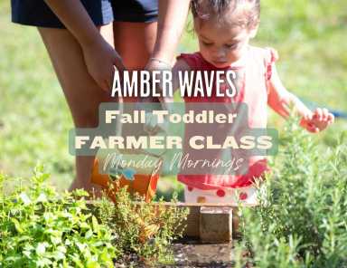 summer toddler mon morning (1)