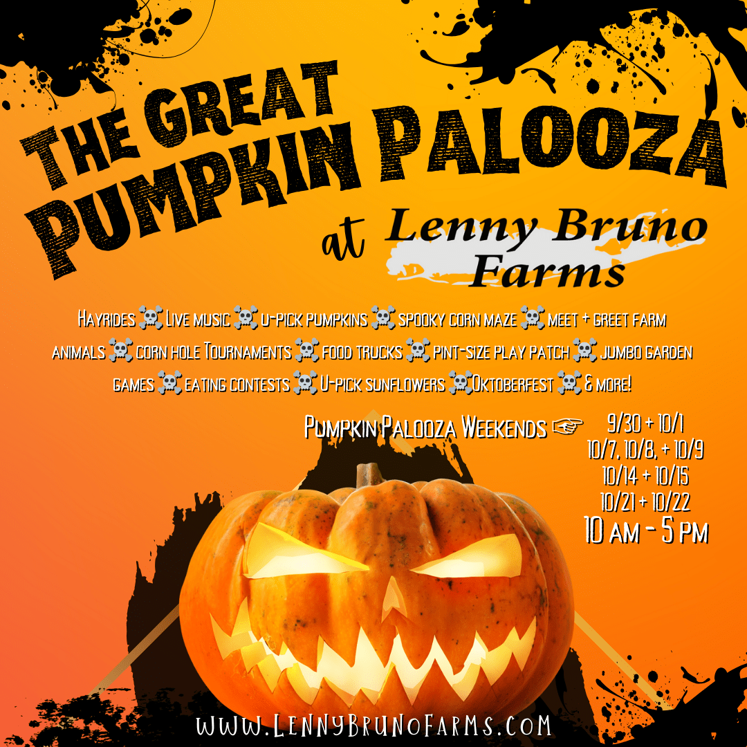 Pumpkin Palooza