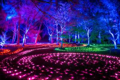 Christmas at the Botanics 2021.
