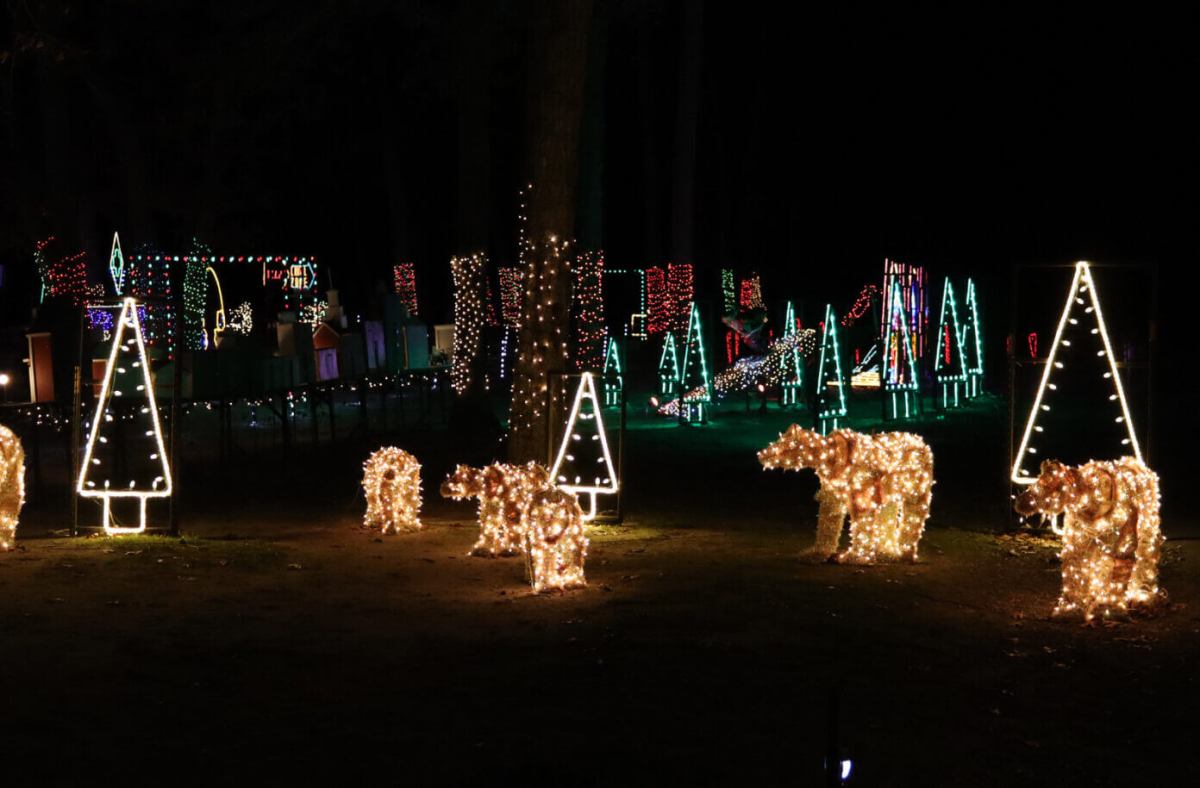 lif-calendar-Girl-Scout-of-Suffolk-County’s-Holiday-Light-Show-2023-12