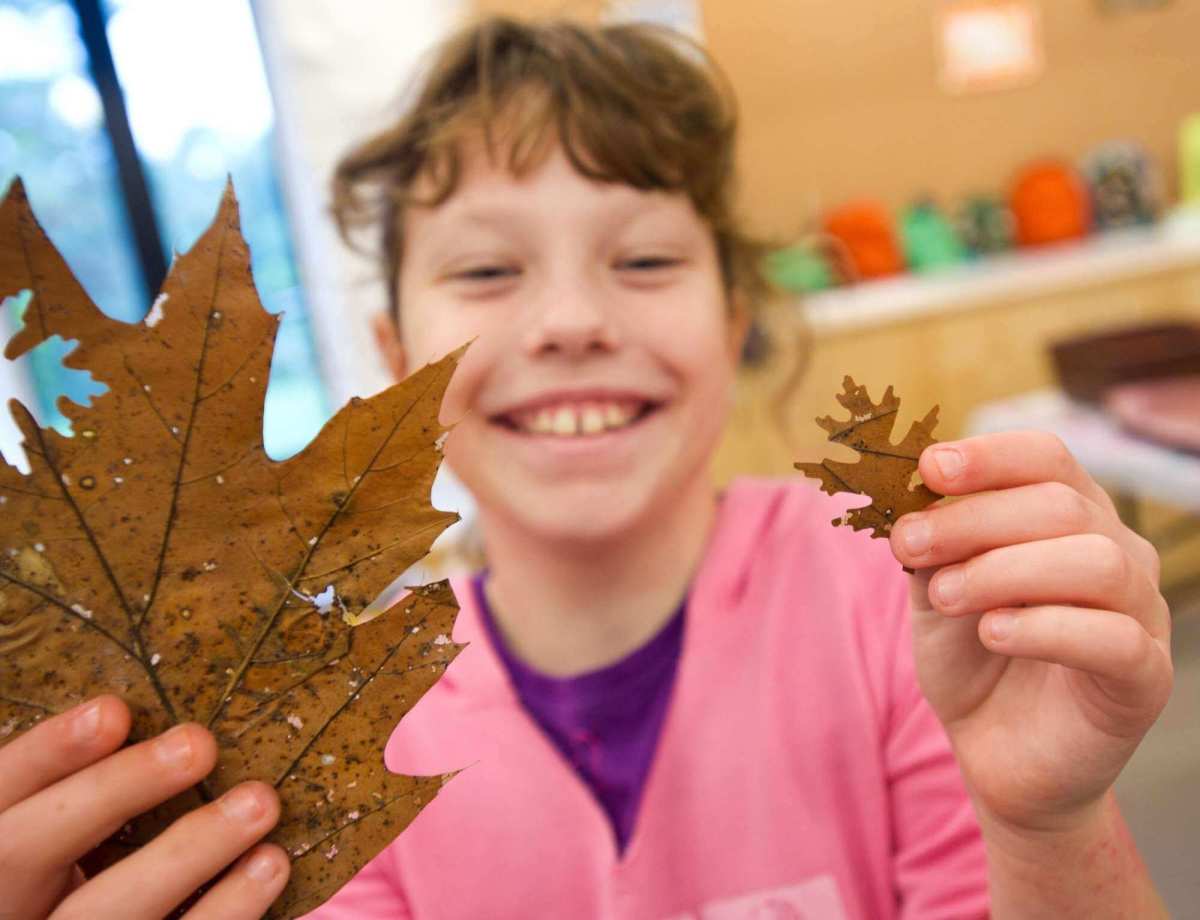 Bronx Family Art Project Leafy Adornments