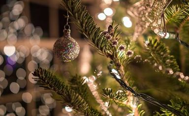 Holiday_Tree_Lights_Event