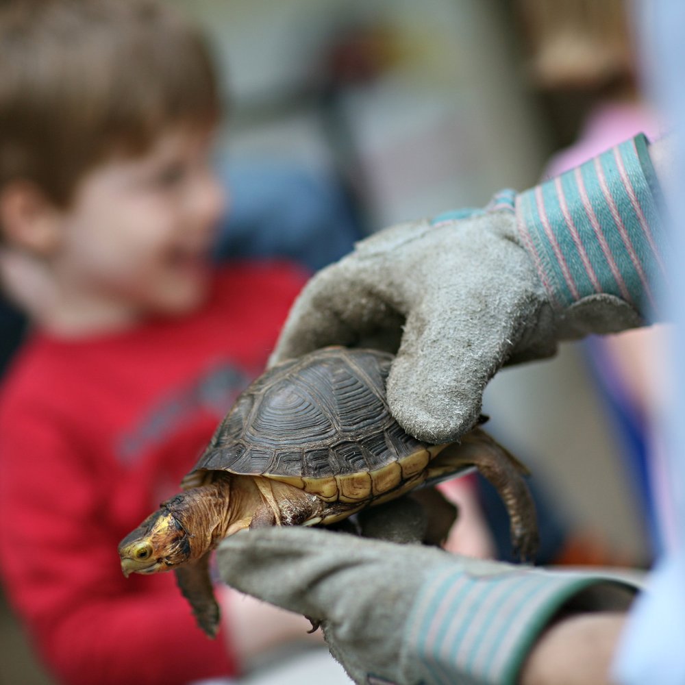 My Naturalist & Me | To Do Westchester