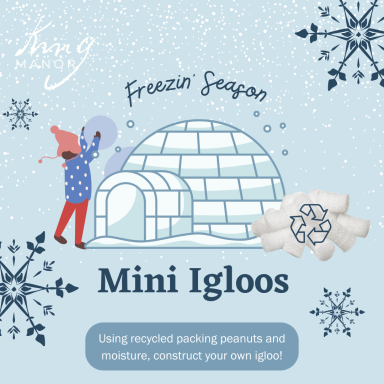 Freezin’ Season 2024 Mini Igloos