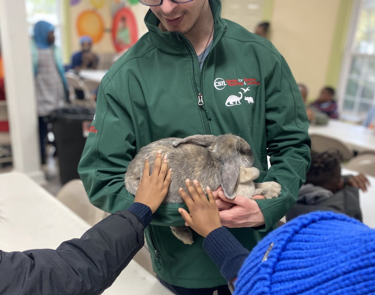 Animal show bunny crop