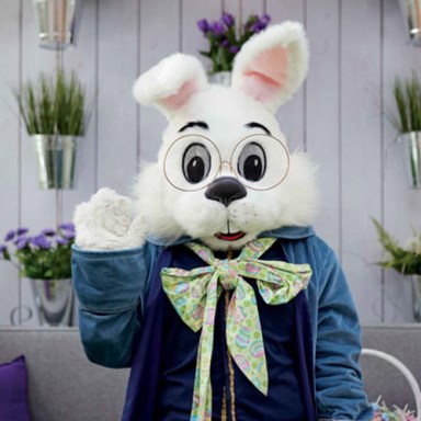 Bunny image