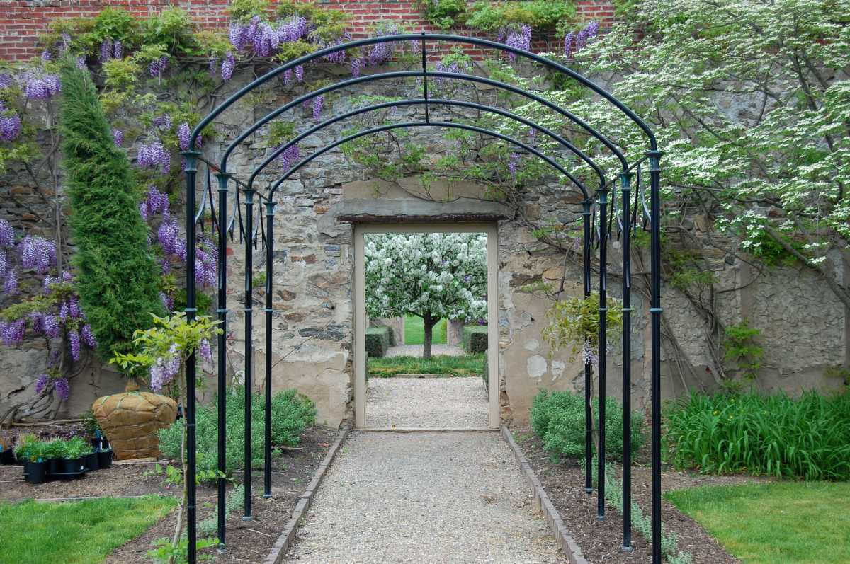 Wisteria Arbor with Crabapple May 2018