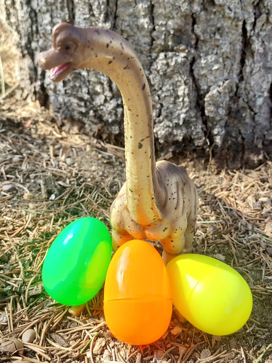 dino egg hunt