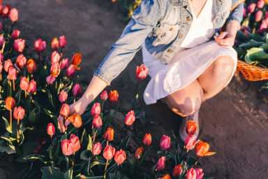 qf-calendar-Blooms-at-Queens-Farm-2024-05