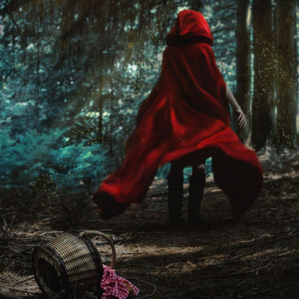 Little_Red_Riding_Hood-973