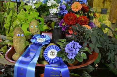 ag-calendar-yorktown-grange-fair-2025-07
