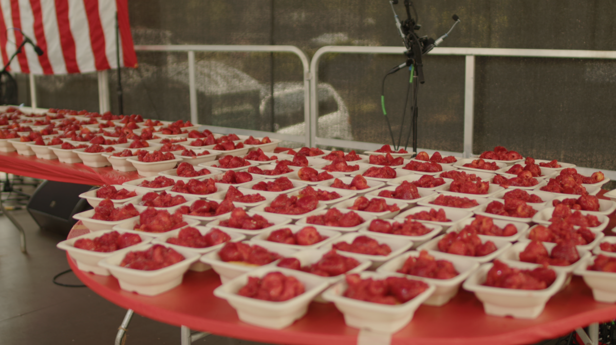 Long Island Mattituck Lions Club 69th Annual Strawberry Festival