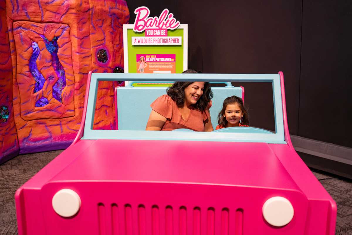rp-calendar-Barbie-You-Can-Be-Anything- The-Experience-2024-06