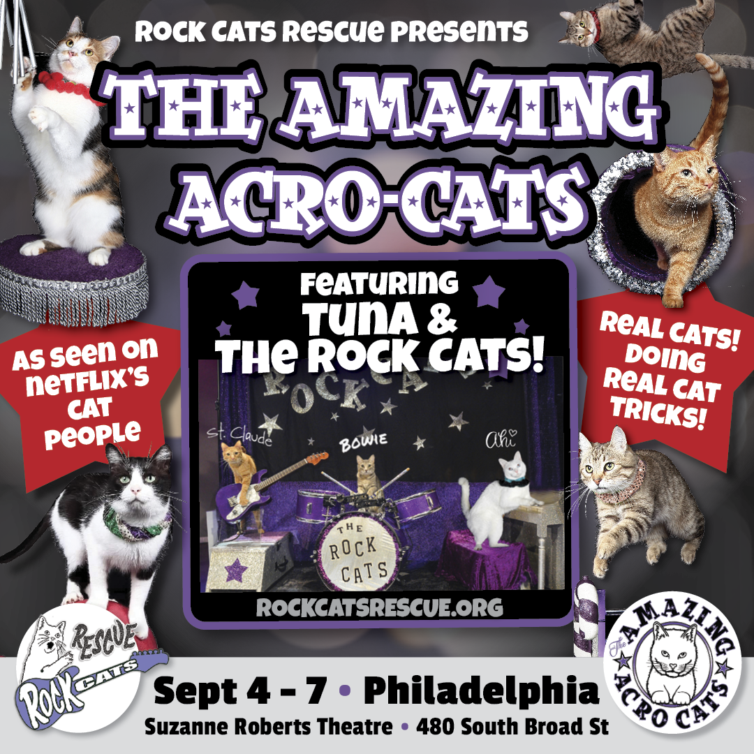 AcroCats Summer24 Philadelphia 1080×1080