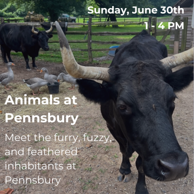 Animals at Pennsbury Program