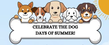 NYRR Dog Days of Summer – Open Run