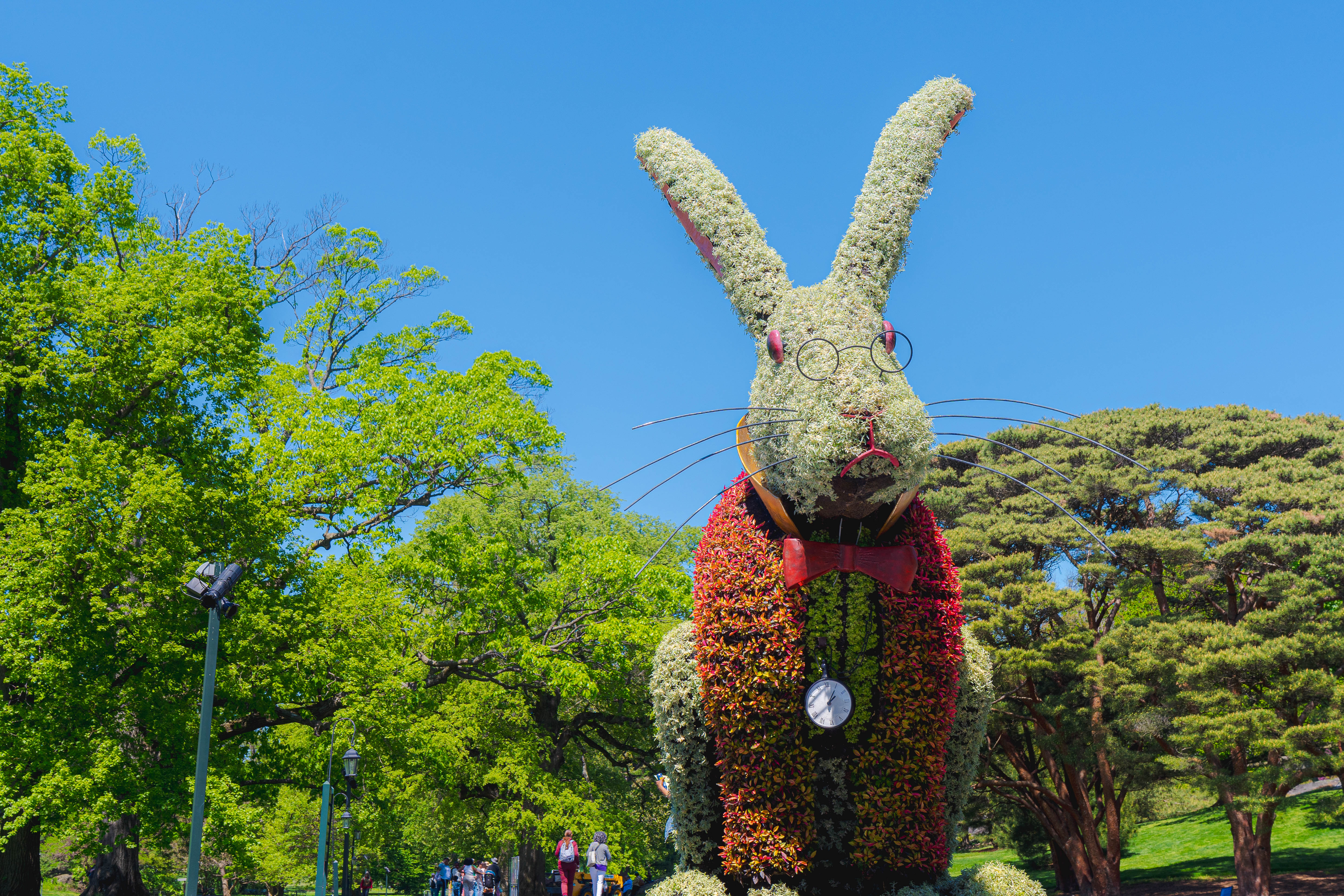 Mad for Summer Family Weekend To Do Bronx