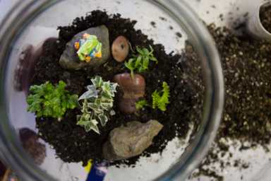 2020-spring-events_Terrarium-Workshop_Joshua-Bright