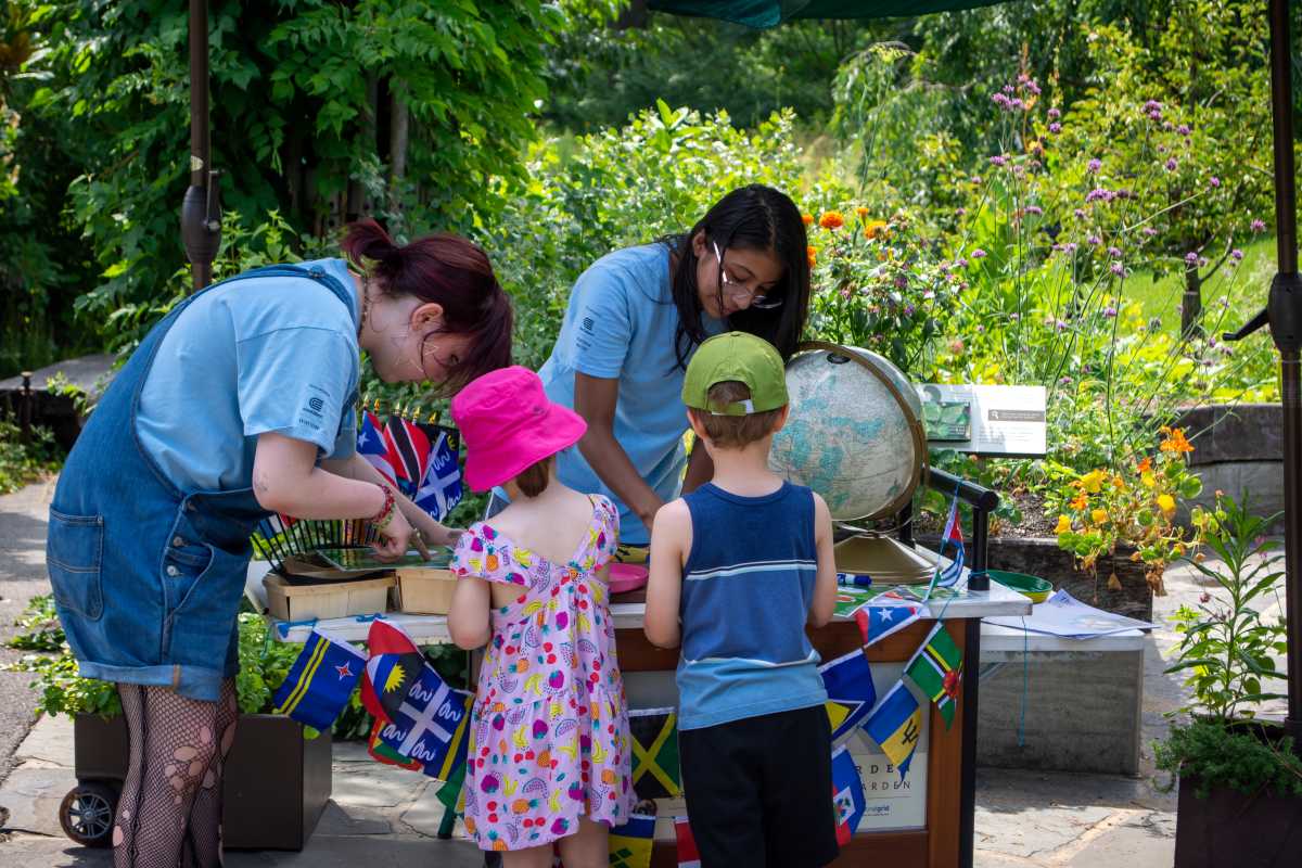 Brooklyn Summer Discovery Weekends