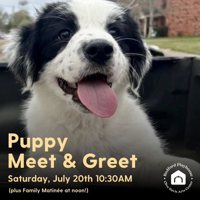 SPCA will have a FREE puppy meet + greet