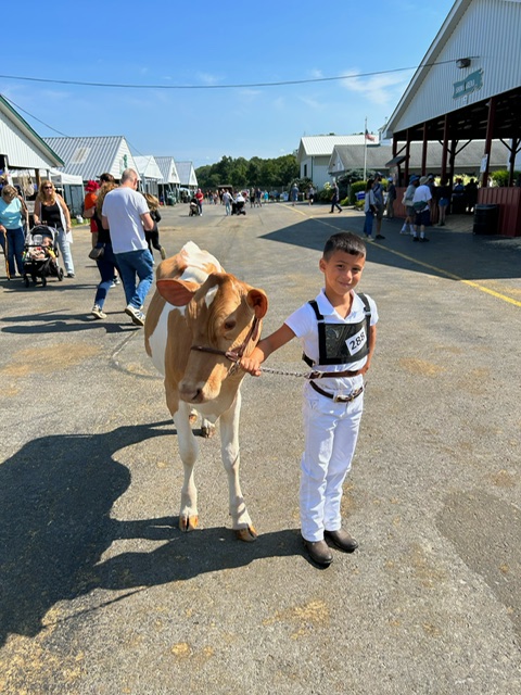 Westchester Dutchess County Fair