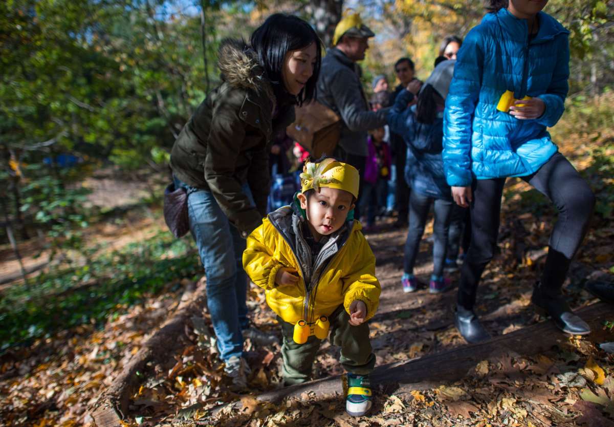 wave-hill_Kids-on-the-Move-Foliage-Frolic_credit-Joshua-Bright