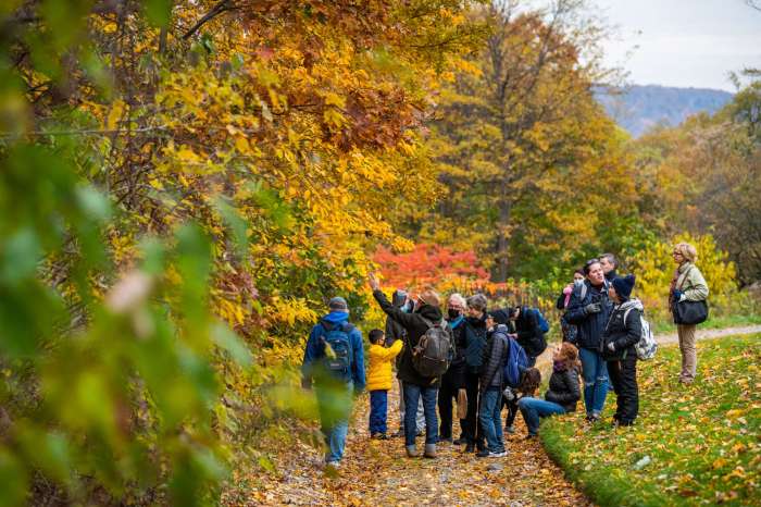 Urban woodlands provide habitat for many