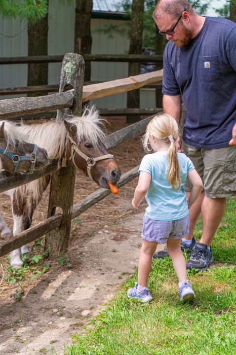 Cassidy Hill Farm is hosting the Wild Fl