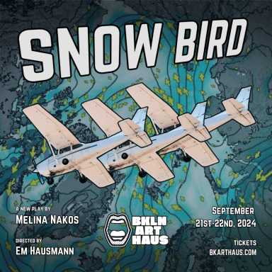 SNOW_BIRD_1X1_0eff44