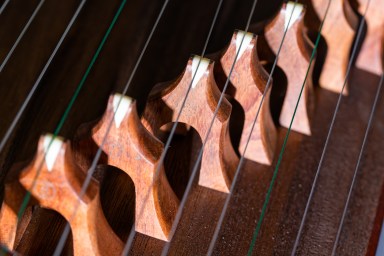 Local details of Guzheng