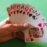 Polish your Canasta skills while learnin