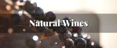 natural-wine-class