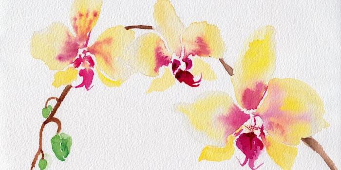 In this special watercolor workshop at Q