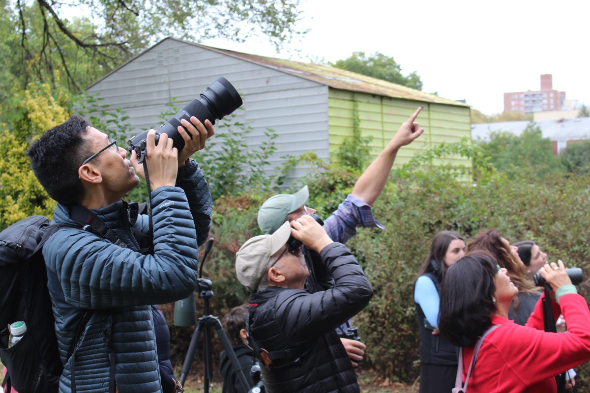 2019.10.06 Audubon_Birdwalk_CREDIT Gennessy Palma023