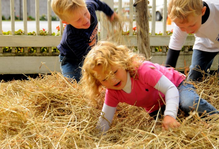 Hallockville Museum Farm, the 28-acre pr