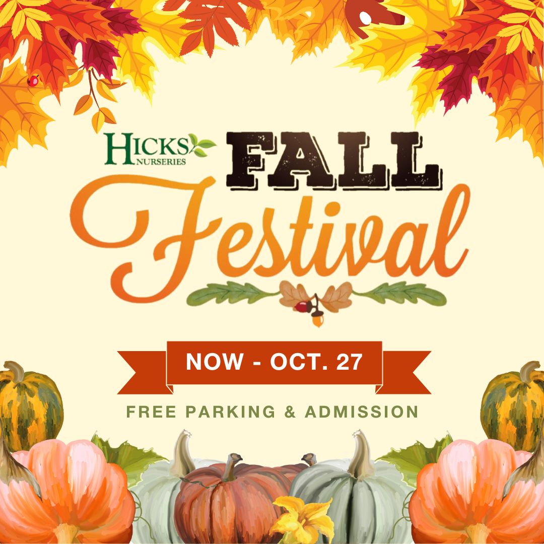 Fall Festival Graphic (6)