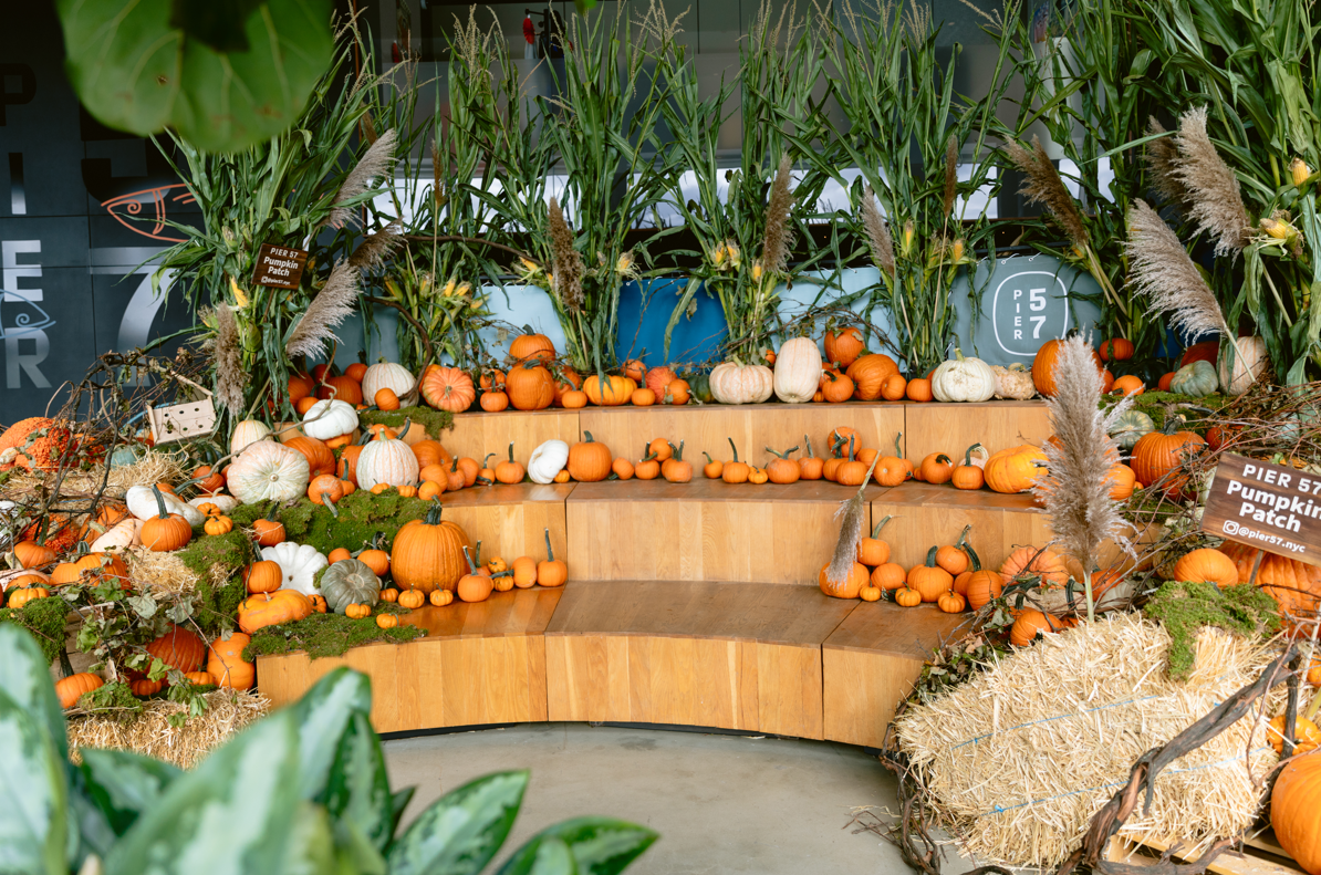 Manhattan Pier 57’s Pumpkin Patch