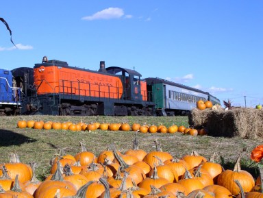 PumpkinTrain [horizontal]