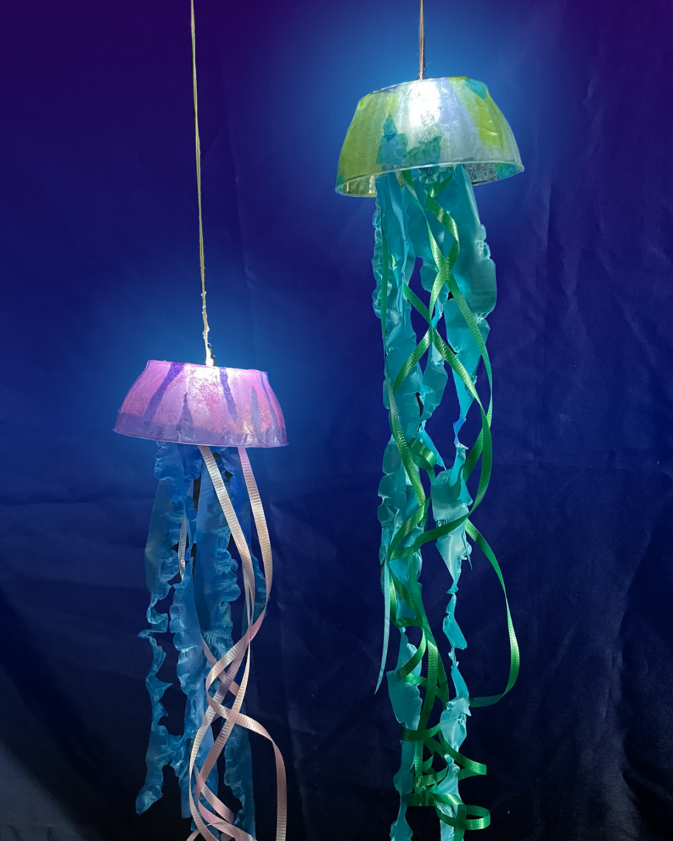 Photo – Deep Sea Explorers – Jellyfish Craft